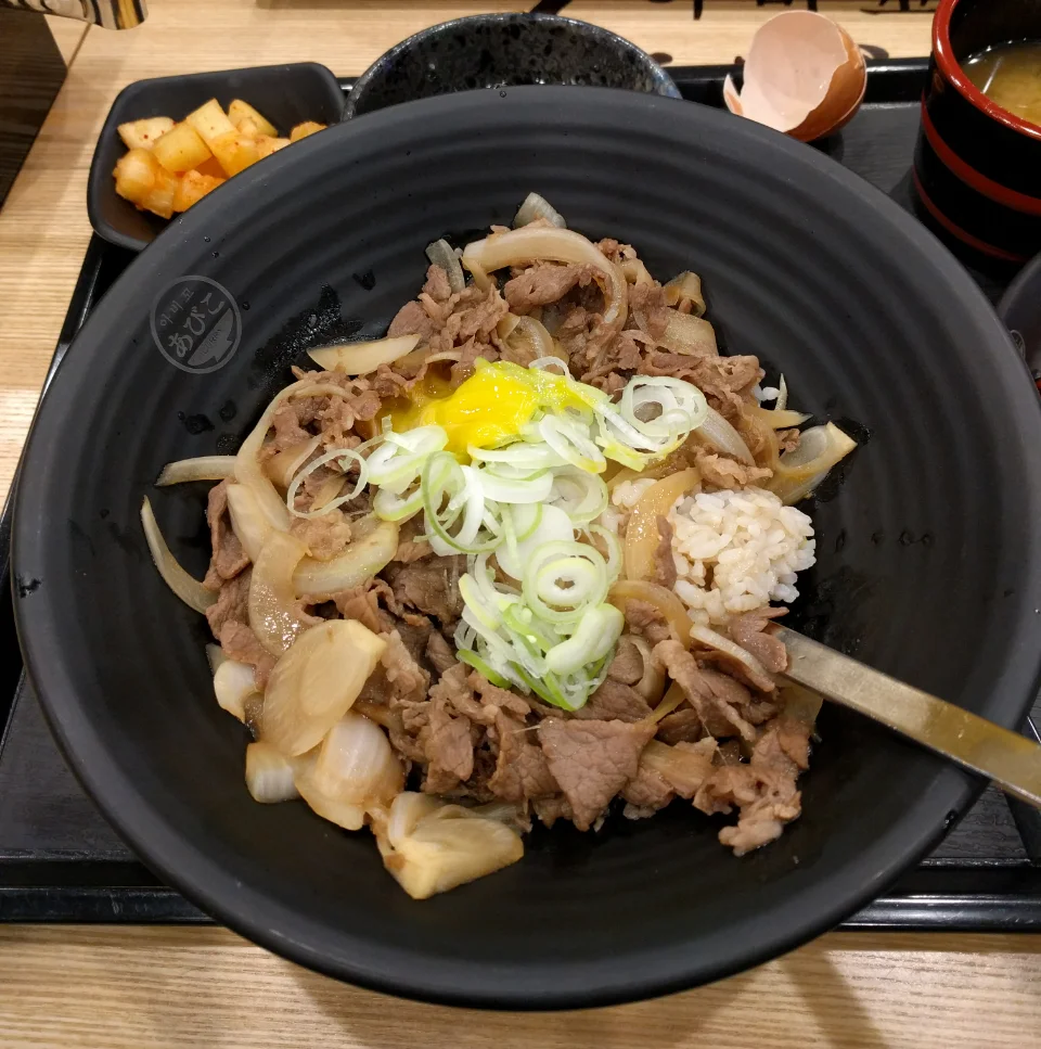 아비꼬 규동