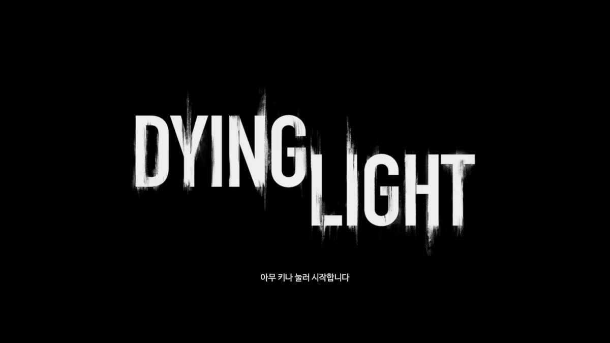 다잉 라이트