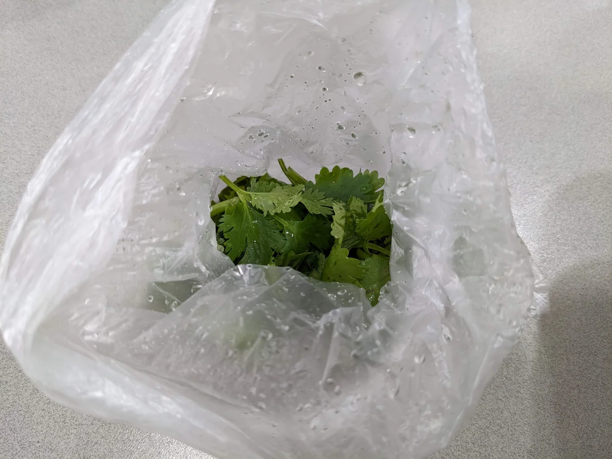 고수